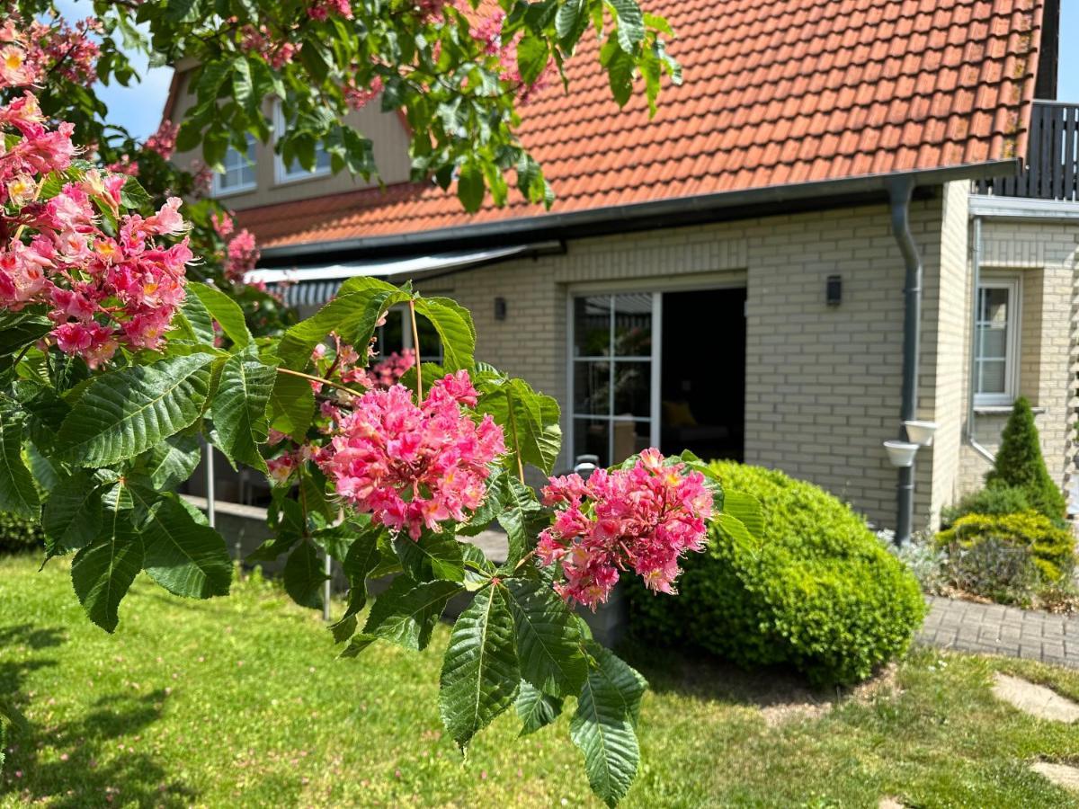 韦尼格罗德Familienurlaub Im Gruenen公寓 外观 照片